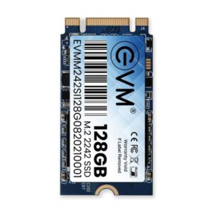 EVM M2 2242 SSD 128GB