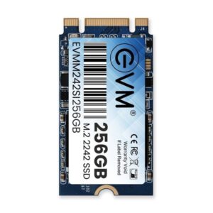 EVM M2 2242 SSD 256GB