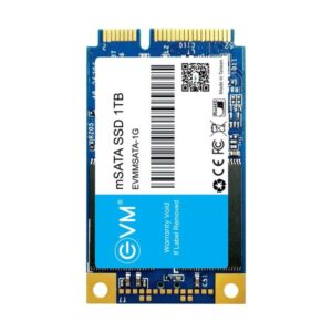 EVM M SATA 1 TB SSD