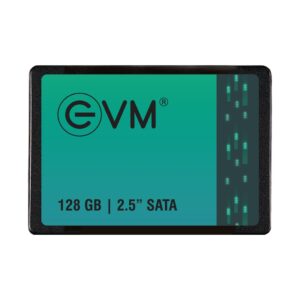 EVM 128GB SSD EVM-128GB-SSD-Variety-Infotech (IMG Variety Infotech)