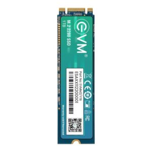 EVM M2 (2280) 1 TB SSD