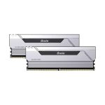 Biwin Silver Opal HX100 Biwin Silver Opal HX100-Variety-Infotech (IMG Variety Infotech)
