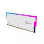 Biwin White Opal DW100 Biwin-White-Opal-DW100-RAM-32GB-Variety-Infotech (IMG Variety Infotech)