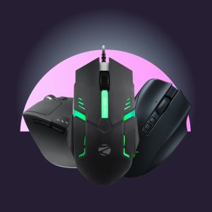Mouse