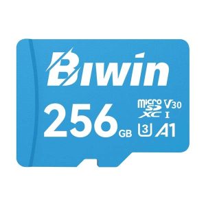 Biwin MS100