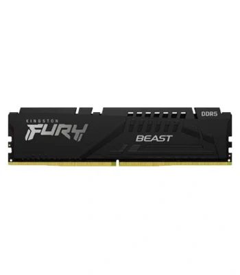 Kingston Fury Beast