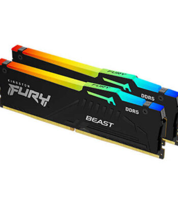 Kingston Fury Beast