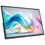 MSI Pro MP165 E6 Portable