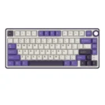 ROYAL KLUDGE RK R75 75% RGB Mechanical Wired Gaming Keyboard ( Blackberry Mousse ) ( RK Brown Switch )