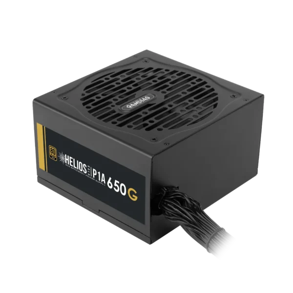 GAMDIAS HELIOS P1A 650G (ATX 2.0) 80 Plus Gold PSU