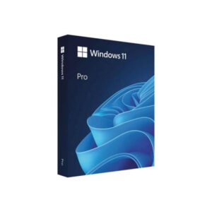 Microsoft Windows 11 Professional FPP