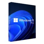 Windows 11 Pro OEM Key