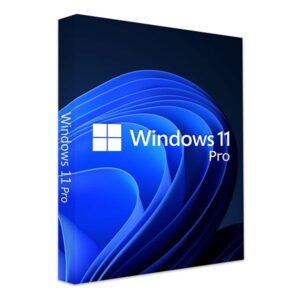 Windows 11 Pro OEM Key