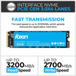 Foxin FX 512GB NVMe SSD M.2 PCIe Gen3 3200MB/s Internal (FX-512 Express)