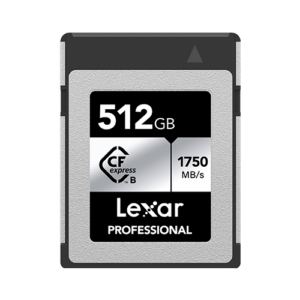 Lexar 512GB Professional CFexpress Type B SILVER Card | Up to 1750MB/s Read & 1300MB/s Write | 10 Years Limited Warranty | LCXEXSL512G-RNENG