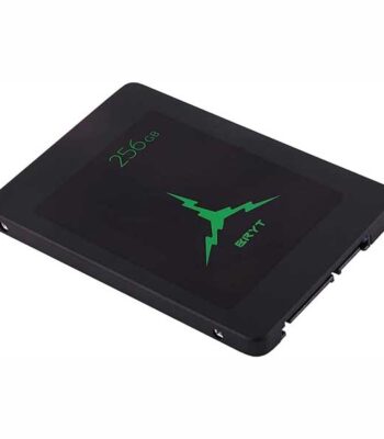 BRYT 256GB 2.5″ SATA Internal SSD