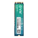 EVM M2 (2280) 256 GB SSD