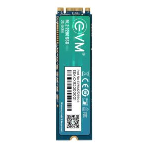 EVM M2 (2280) 256 GB SSD