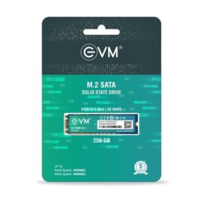 EVM M.2 (2280) 256 GB SSD