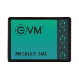 EVM 2.5" INCH SATA 256 GB SSD