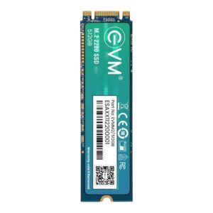 EVM M2 (2280) 512 GB SSD