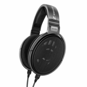 Sennheiser HD 650 Over-Ear Wired Headphone Without Mic (Silver)