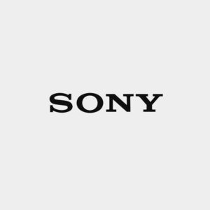 Sony Wired Headphones