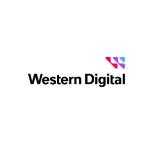 Western Digital SSD