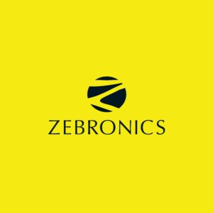 Zebronics Wired Speakers