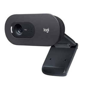 Logitech C505e Webcam