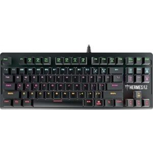 Gamdias HERMES E2 TKL Blue Switches Mechanical Gaming Keyboard